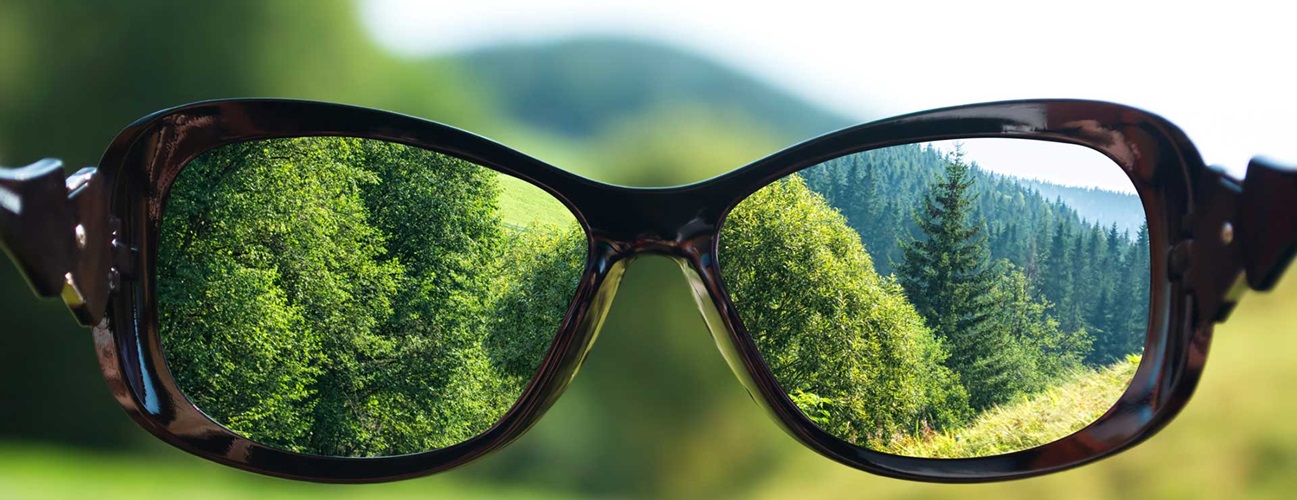Various reading glasses styles